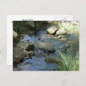 Marsh Creek in lente Briefkaart (Voorkant / Achterkant)