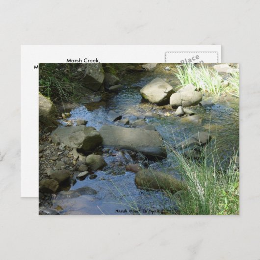 Marsh Creek in lente Briefkaart (Voorkant / Achterkant)