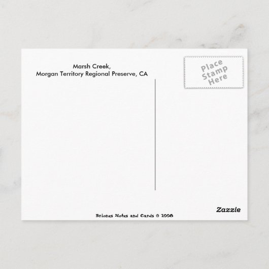 Marsh Creek in lente Briefkaart (Achterkant)