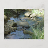 Marsh Creek in lente Briefkaart (Voorkant)