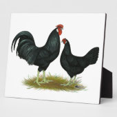 Marsh Daisy Chickens Fotoplaat (Zijkant)