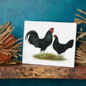 Marsh Daisy Chickens Fotoplaat (Zijkant)