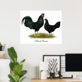 Marsh Daisy Chickens Poster (Thuiskantoor)
