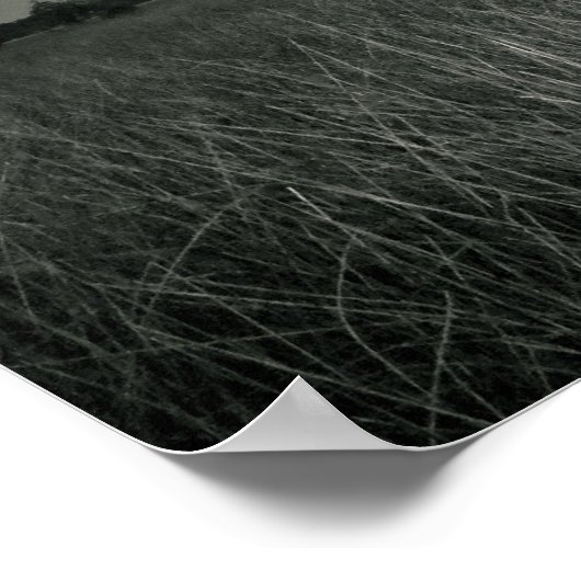 Marsh Grasses Poster (Hoek)
