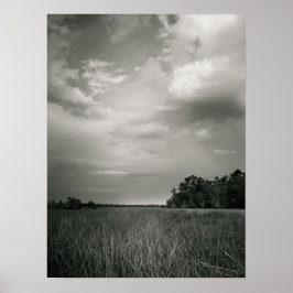 Marsh Grasses Poster