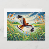 Marsh Harrier over Lake Reedbeds Feestdagenkaart (Voorkant / Achterkant)