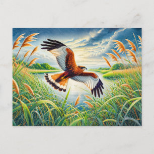 Marsh Harrier over Lake Reedbeds Feestdagenkaart