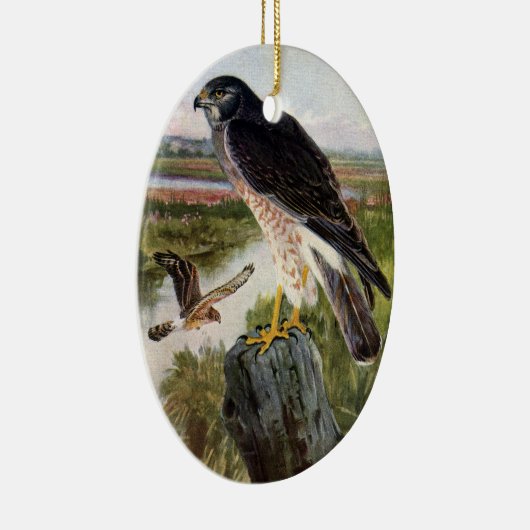 Marsh Hawk Keramisch Ornament (Rechts)