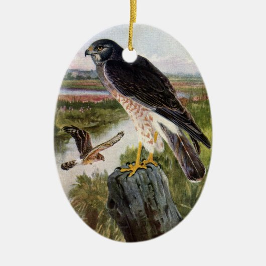 Marsh Hawk Keramisch Ornament (Voorkant)
