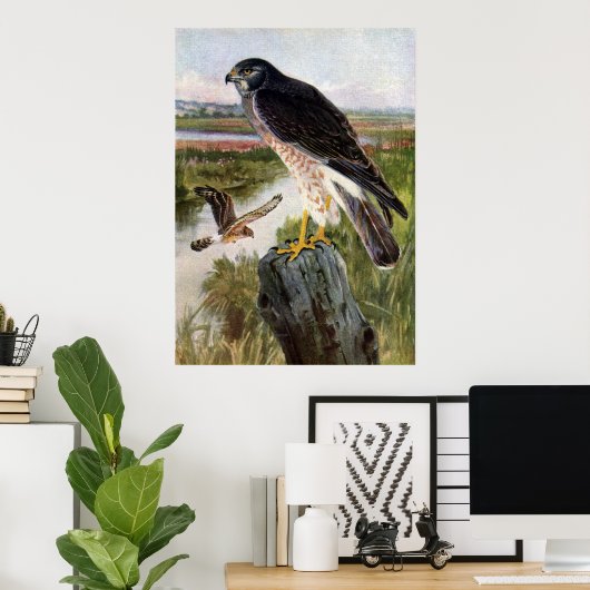 Marsh Hawk Poster (Thuiskantoor)