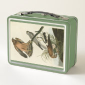 Marsh Hawk uit Audubon's Birds of America (Achterkant)