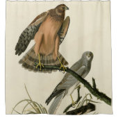 Marsh Hawk uit Audubon's Birds of America Douchegordijn (Voorkant)