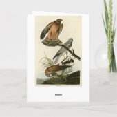 Marsh Hawk uit Audubon's Birds of America Kaart (Achterkant)