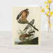 Marsh Hawk uit Audubon's Birds of America Kaart (Gele Bloem)