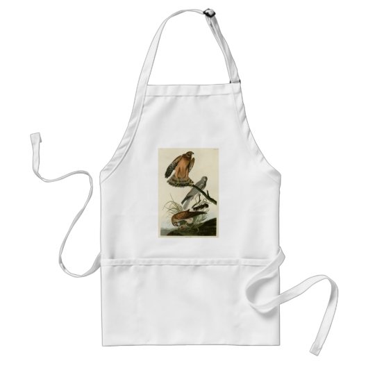 Marsh Hawk uit Audubon's Birds of America Standaard Schort (Voorkant)
