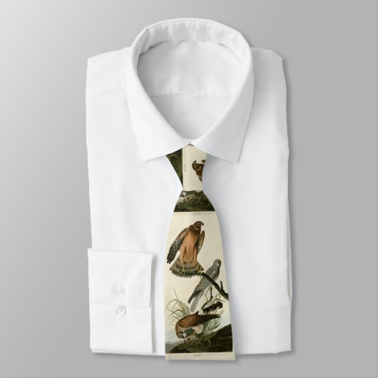 Marsh Hawk uit Audubon's Birds of America Stropdas (Gebonden)