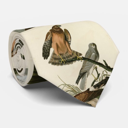 Marsh Hawk uit Audubon's Birds of America Stropdas (Opgerold)