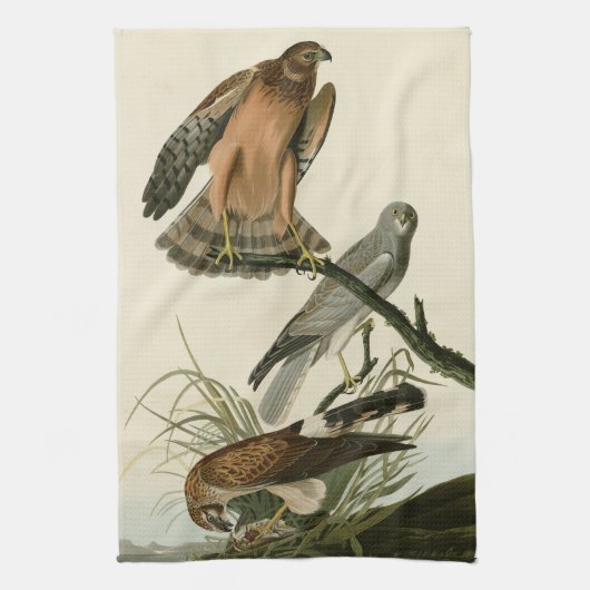 Marsh Hawk uit Audubon's Birds of America Theedoek (Verticaal)