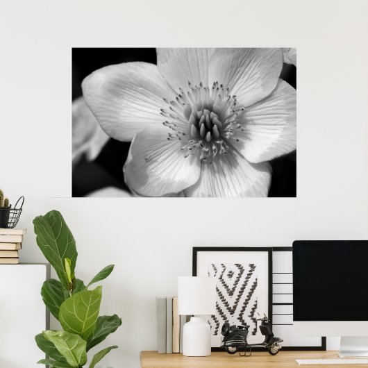 Marsh Marigold Poster (Thuiskantoor)