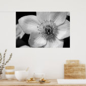 Marsh Marigold Poster (Keuken)