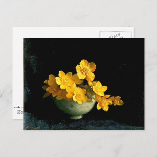 Marsh Marigolds, nog steeds levenspatter Briefkaart (Voorkant / Achterkant)
