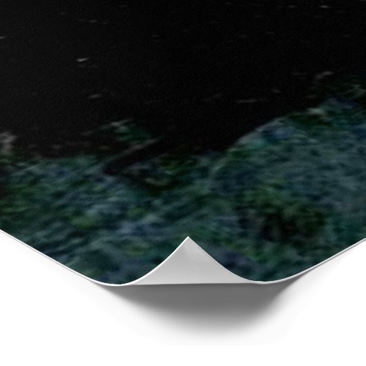 Marsh Marigolds, nog steeds levenspatter Poster (Hoek)