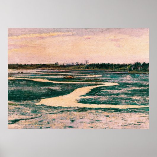 Marsh met Pink Sky  Landscape Poster (Voorkant)