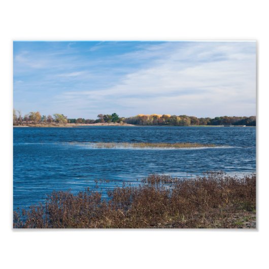 marsh point in achting necedah foto afdruk (Voorkant)
