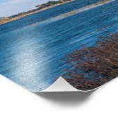 marsh point in achting necedah foto afdruk (Hoek)