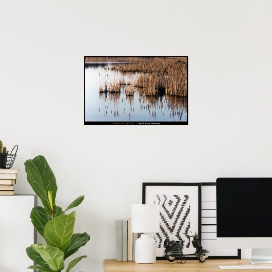 Marsh Reeds Poster (Thuiskantoor)