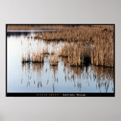 Marsh Reeds Poster (Voorkant)