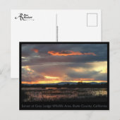 Marsh Sunset #2 Briefkaart (Voorkant / Achterkant)