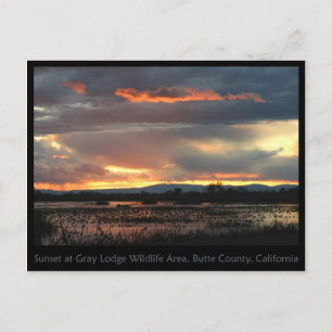Marsh Sunset #2 Briefkaart