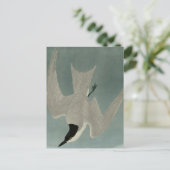 Marsh Tern Briefkaart (Staand voorkant)