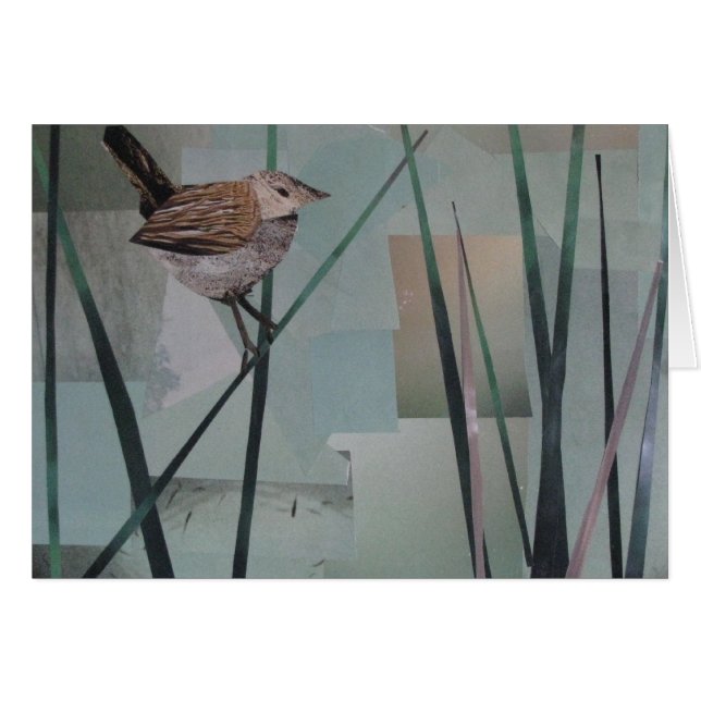 Marsh Wren (Voorkant Horizontaal)