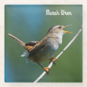 Marsh Wren Glazen Onderzetter (Voorkant)