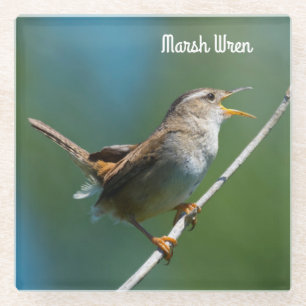 Marsh Wren Glazen Onderzetter