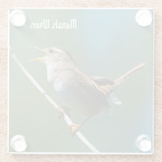 Marsh Wren Glazen Onderzetter (Achterkant)