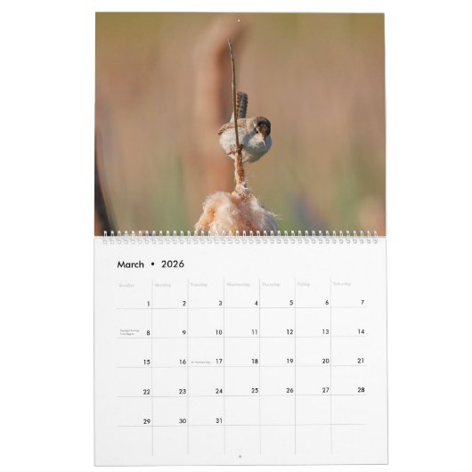 Marsh Wren Kalender (Mar 2026)