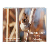 Marsh Wren Kalender (Hoes)