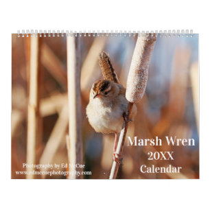 Marsh Wren Kalender