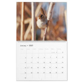 Marsh Wren Kalender (Jan 2027)