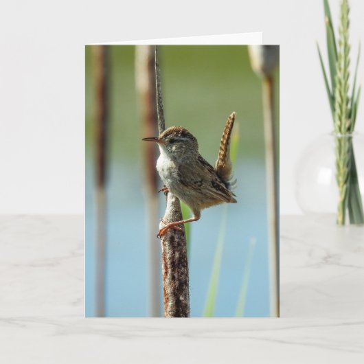 Marsh Wren Notecard Kaart (Voorkant)