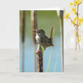 Marsh Wren Notecard Kaart (Gele Bloem)