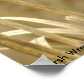 Marsh Wren Poster (Hoek)