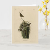 Marsh Wren uit Audubon's Birds of America Kaart (Gele Bloem)