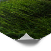 Marshall Point-vuurtoren op Sunset Poster (Hoek)