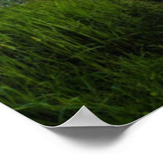 Marshall Point-vuurtoren op Sunset Poster (Hoek)