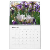 Marsha's Amazing Irises 2008 Cale... Kalender (Mar 2027)