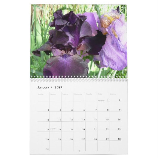 Marsha's Amazing Irises 2008 Cale... Kalender (Jan 2027)